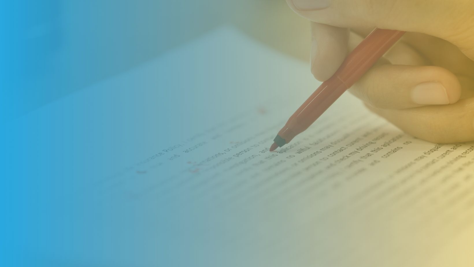 Photo of Editing Māori-language text in English-language publications