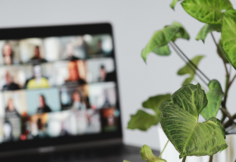 IPEd’s 2021 Conference goes Virtual