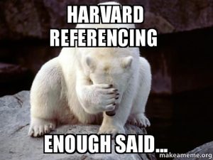 A meme with a polar bear doing a facepalm and the words 