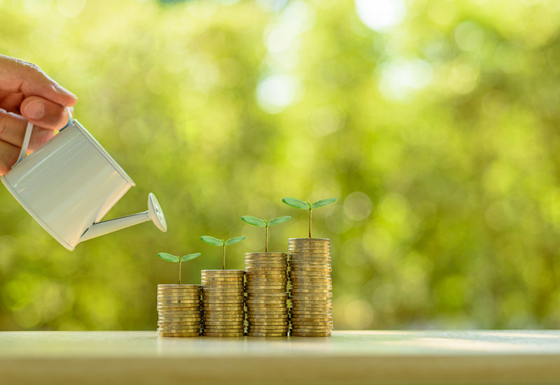 A concept image of watering shrubs on coins to represent superannuation and investments