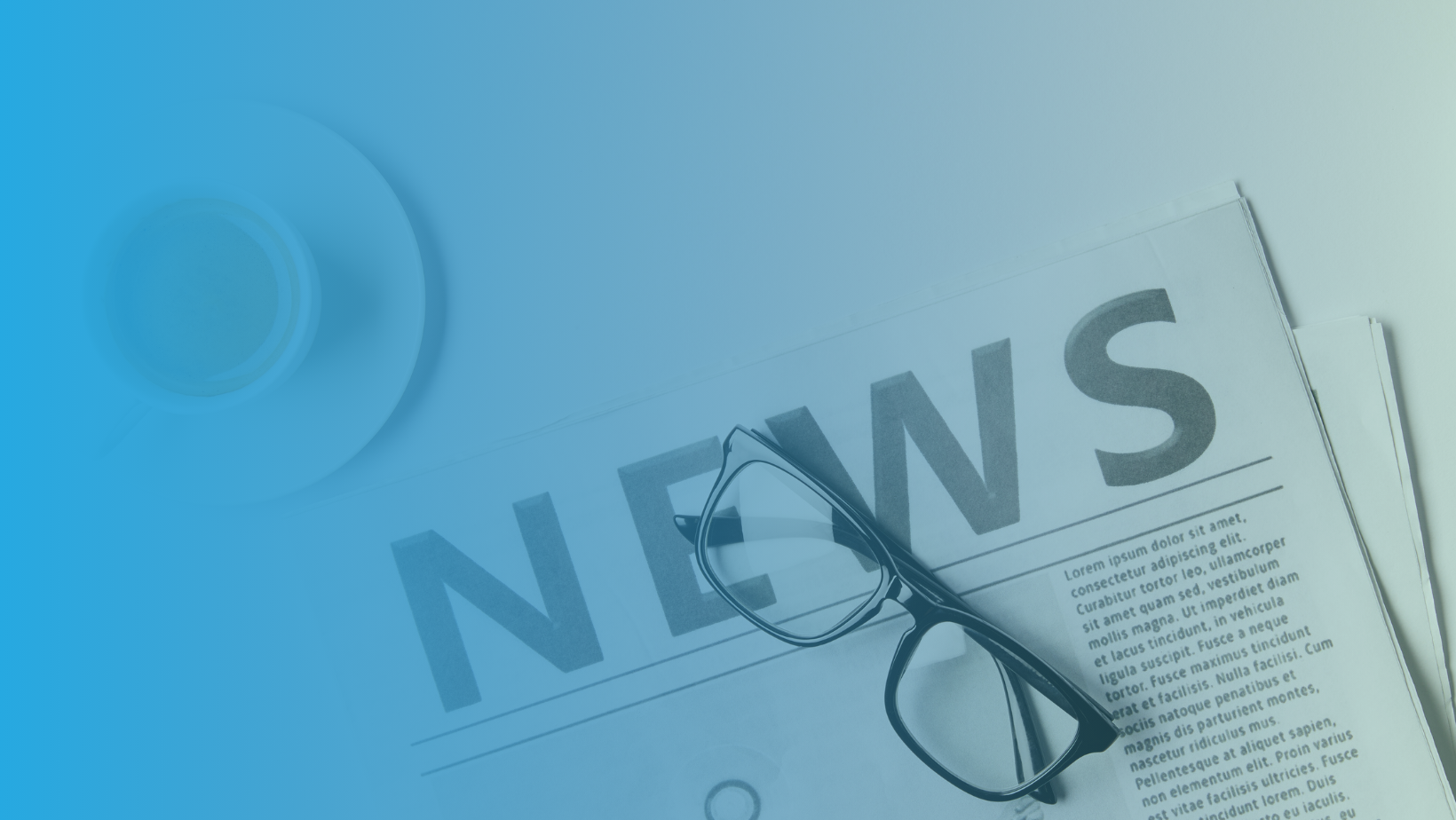 IPEd news the 2025 conference, membership fees set and updates on new