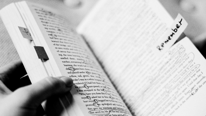 Beyond the Margins: shining a light on Australia’s editors